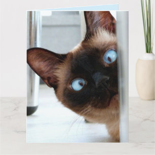 CUTE SIAMESE CAT PEEING IN HEJ greeting CARD Kort