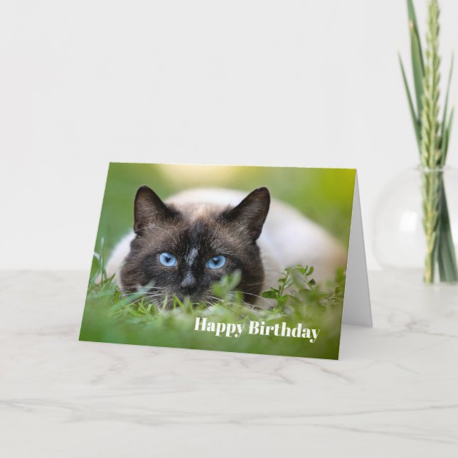 Cute Siamese Cat Photo Birday Card Kort (Framsida)