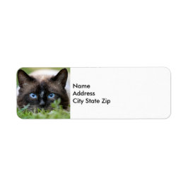 Cute Siamese Cat Photo Label Returadress Etikett