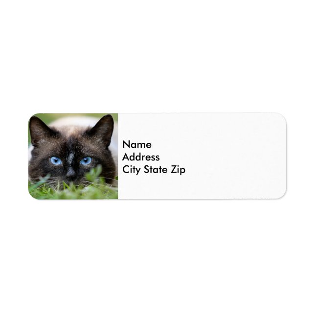 Cute Siamese Cat Photo Label Returadress Etikett (Framsidan)