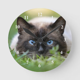 Cute Siamese Cat Photo Rund Klocka