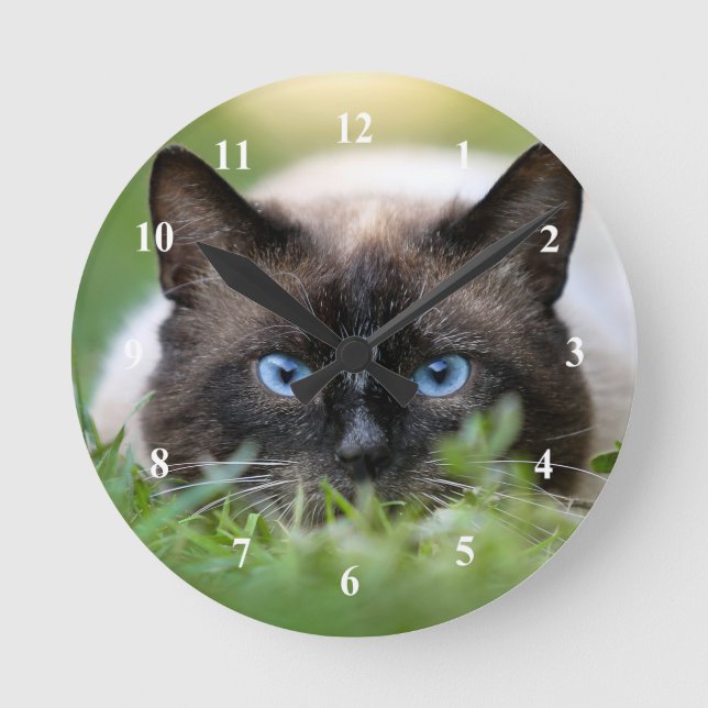 Cute Siamese Cat Photo Rund Klocka (Framsida)