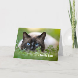 Cute Siamese Cat Photo Tack Kort