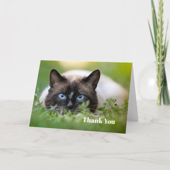 Cute Siamese Cat Photo Tack Kort (Framsida)