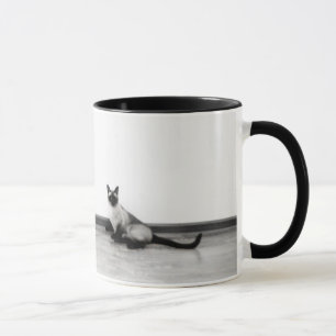 CUTE Siamese Cat Photograph Mugg