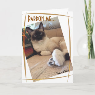 Cute Siamese Kitten Close-up Photograph Anpassning Kort