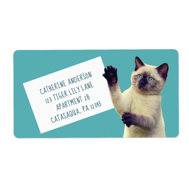 Cute Siamese Kitten Teal Blue Large Fraktsedel (Framsidan)