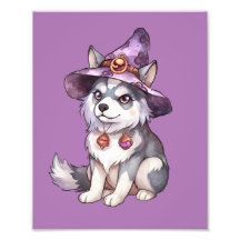 Cute Siberian husky Hund i Witch Hat