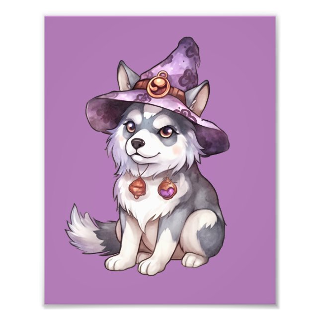 Cute Siberian husky Hund i Witch Hat Fototryck (Framsidan)