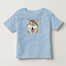 Cute Siberian husky Hund Varg  Funny huskies Hund