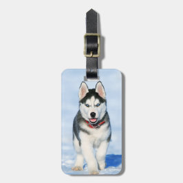 Cute Siberian husky Puppy Hund i Snö Bagagebricka