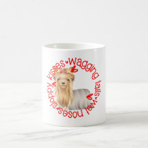 Cute Silky Terrier hund, slarviga kyssar