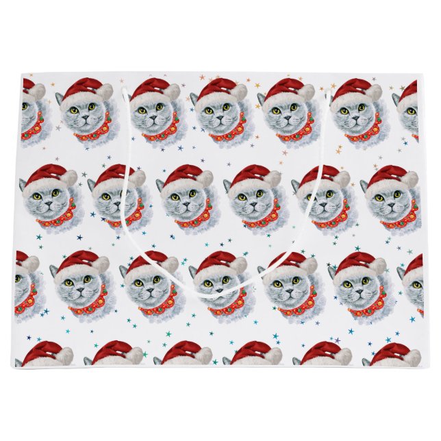 Cute Silver Cat with Santa Hat Christmas (Framsidan)