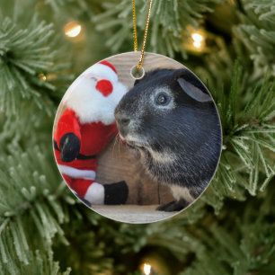Cute Silver Fox Guinea Gris och Jultomten Julgransprydnad Keramik