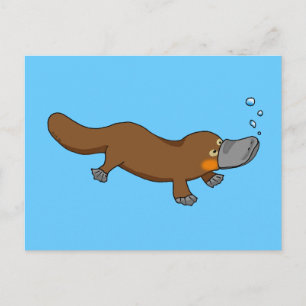 Cute simmande platypus med anka vykort
