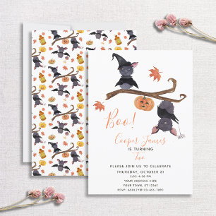 Cute Simple Halloween Fladdermus Barns andra födel Inbjudningar