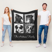 Cute Simple Päls Spädbarn Animal Pet Photo