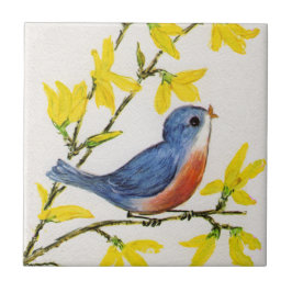Cute Singing Blue Bird Träd Gren Kakelplatta