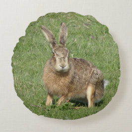 Cute Sitta Hare Close Round Pillow Rund Kudde