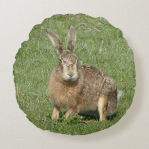 Cute Sitta Hare Close Round Pillow Rund Kudde