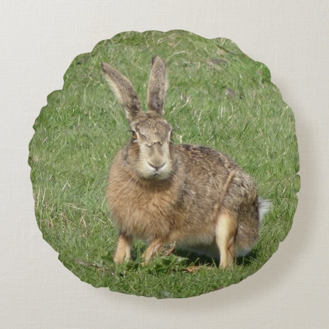 Cute Sitta Hare Close Round Pillow Rund Kudde (Framsidan)