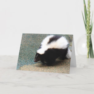 Cute Skunk-gratulationskort Kort