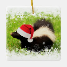 Cute Skunk-Helgdag