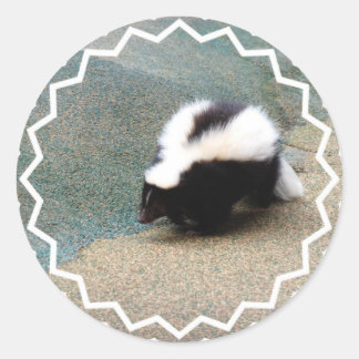 Cute Skunk Sticker Runt Klistermärke