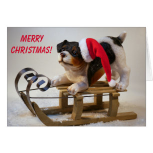 Cute Sled Hund jul Hälsningskort