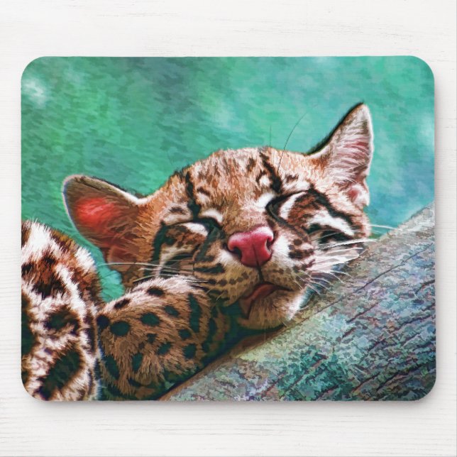 Cute Sleeping Baby Ocelot Kitten Musmatta (Framsidan)