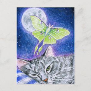 Cute Sleeping Cat with Luna Moth, Måne vycard Vykort