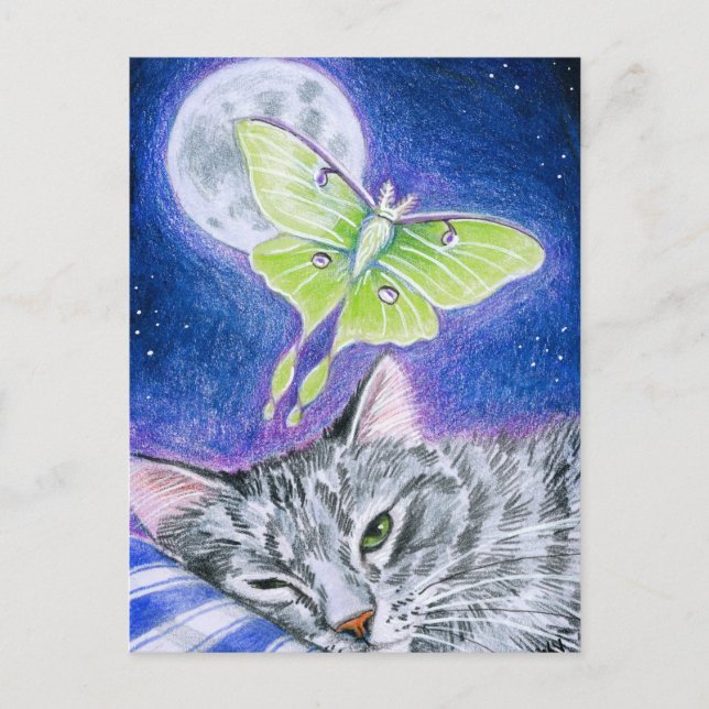 Cute Sleeping Cat with Luna Moth, Måne vycard Vykort (Framsida)