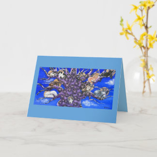 Cute Sleeping Cats in Tree  Kort