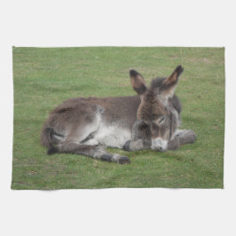 Cute Sleeping Donkey Baby Foal Kökshandduk