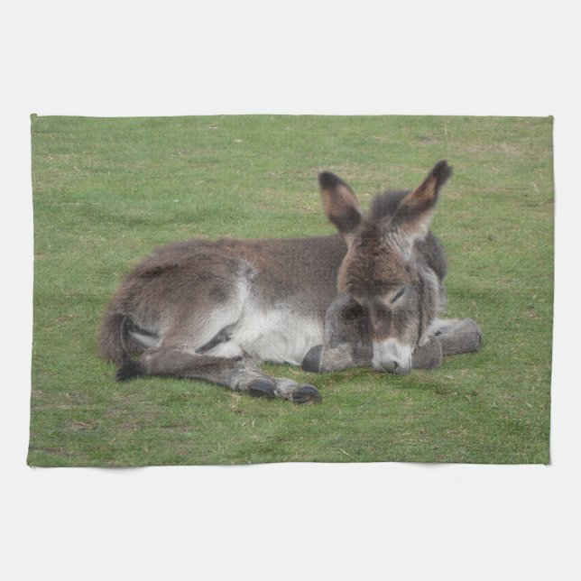 Cute Sleeping Donkey Baby Foal Kökshandduk (Horisontell)