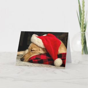 Cute Sleeping Golden Retriever, Hund jul Helgkort