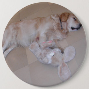 Cute Sleeping Golden Retriever med kanin Leksak Knapp