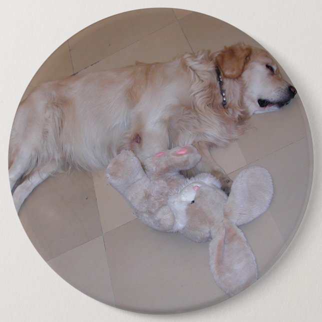 Cute Sleeping Golden Retriever med kanin Leksak Knapp (Framsida)