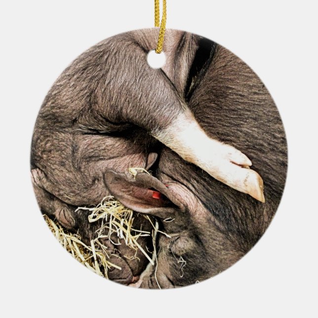 CUTE SLEEPING GRISAR JULGRANSPRYDNAD KERAMIK (Framsidan)