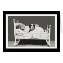 Cute Sleeping Hundar av Harrier Whittier Frees