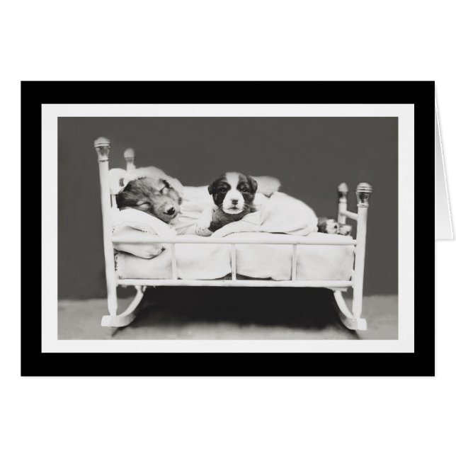 Cute Sleeping Hundar av Harrier Whittier Frees Hälsningskort (Framsidan Horizontal)