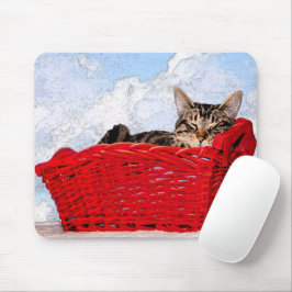 Cute Sleeping Kitten i Bright Red Basket Photo Musmatta