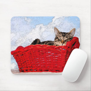 Cute Sleeping Kitten i Bright Red Basket Photo Musmatta