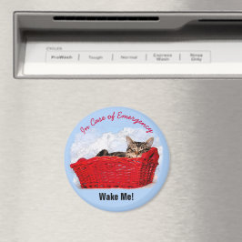 Cute Sleeping Kitten i Red Basket Anpassningsbar P Magnet