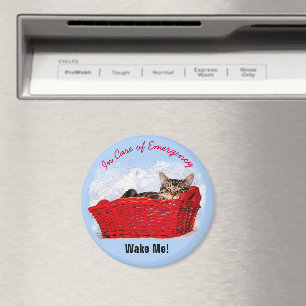 Cute Sleeping Kitten i Red Basket Anpassningsbar P Magnet