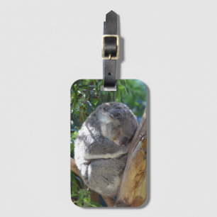 Cute Sleeping Koala i Träd Bagagebricka