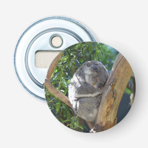 Cute Sleeping Koala i Träd Flasköppnare