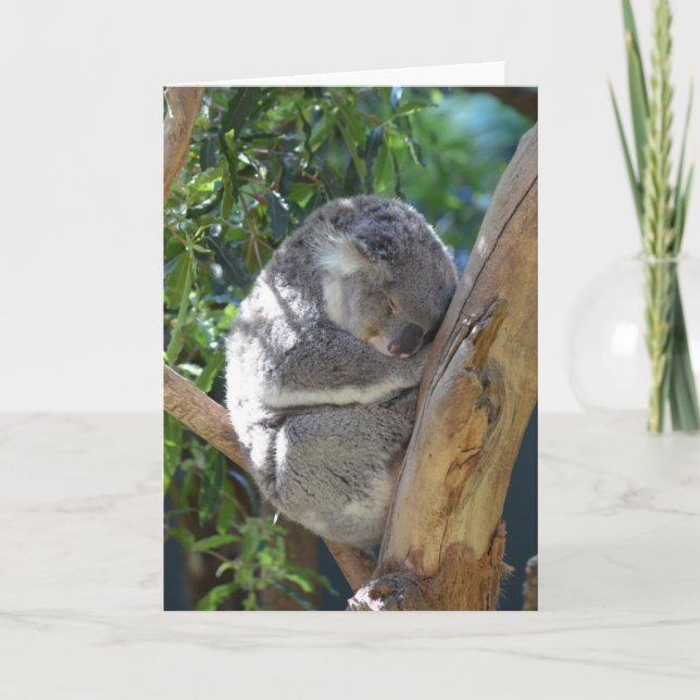 Cute Sleeping Koala i Träd Kort (Framsida)