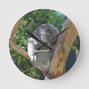 Cute Sleeping Koala i Träd Rund Klocka