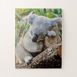 Cute Sleeping Koala Pussel